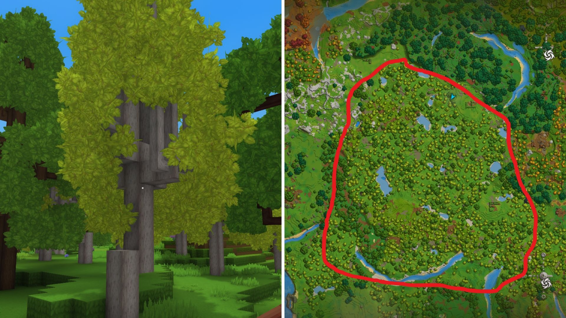 tronco de abedul Hytale
