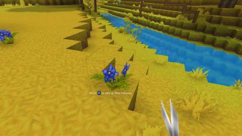 blue hibiscus blue petal hytale-1