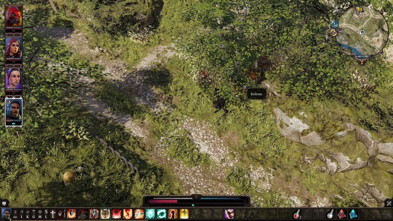 boletus location divinity original sin 2
