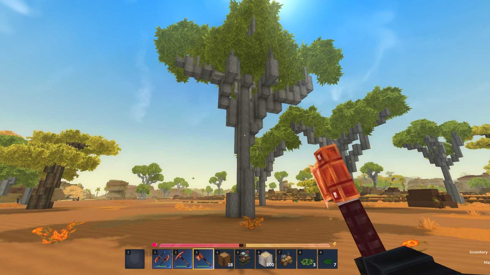 bottletree drywood hytale (3)