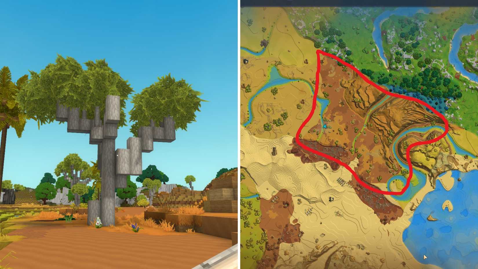 Бревно бутылочного дерева