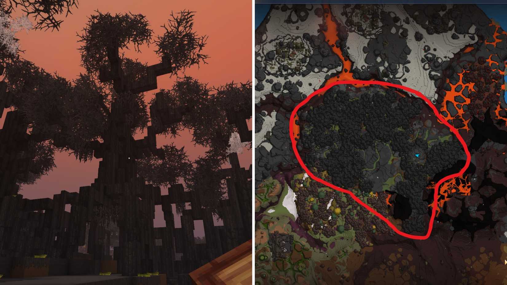 Обгоревшее бревно