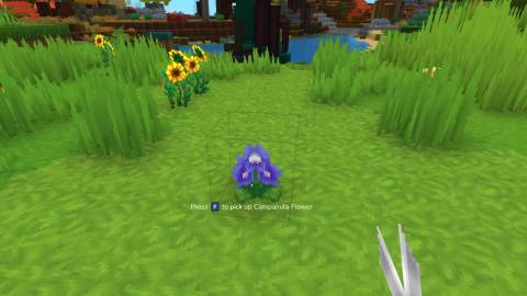 campanula flower purple petal hytale-1