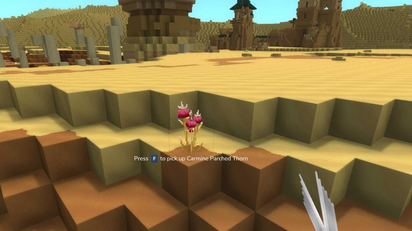 Карминовый иссохший шип