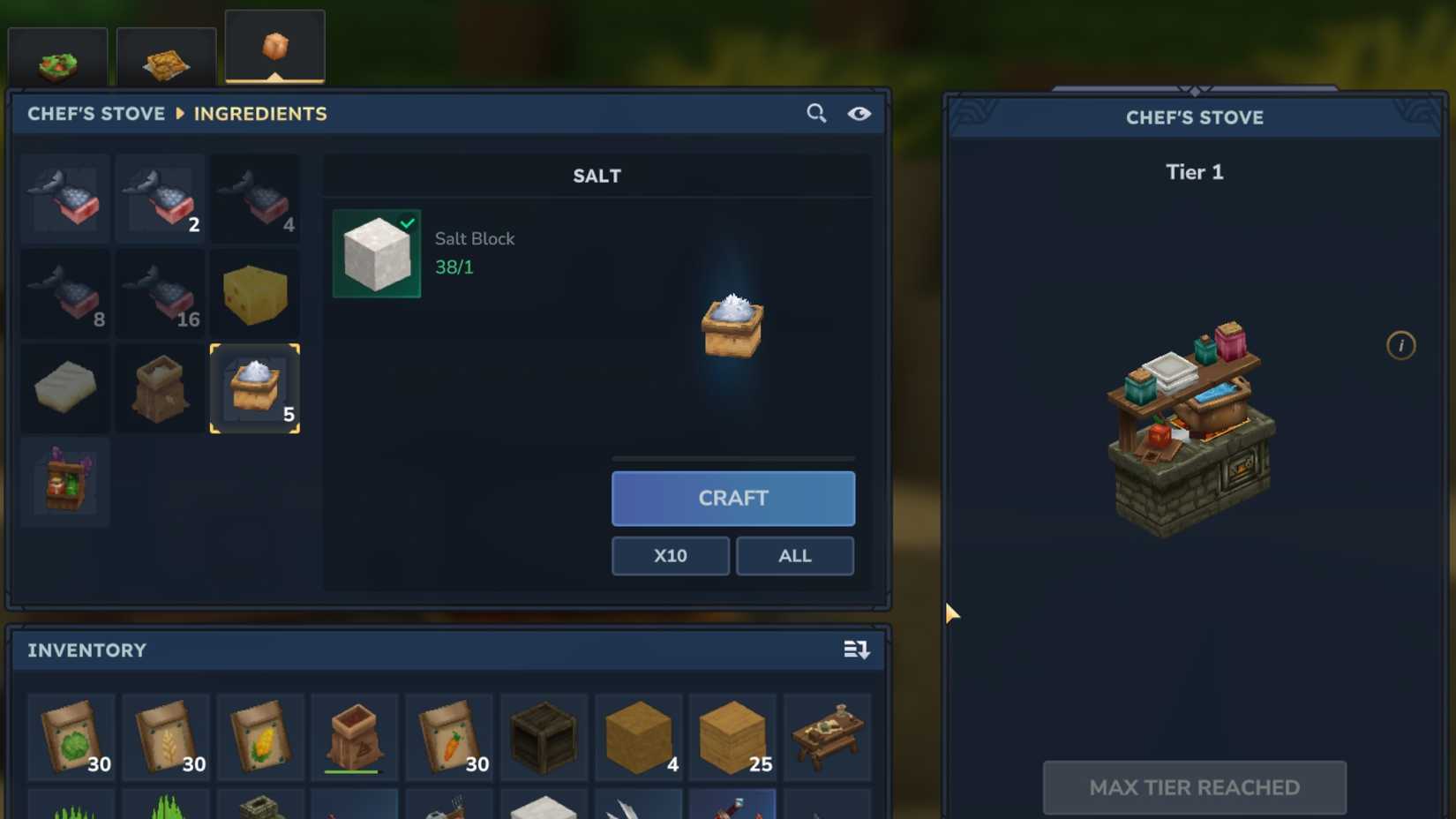 chef's stove salt from salt block hytale