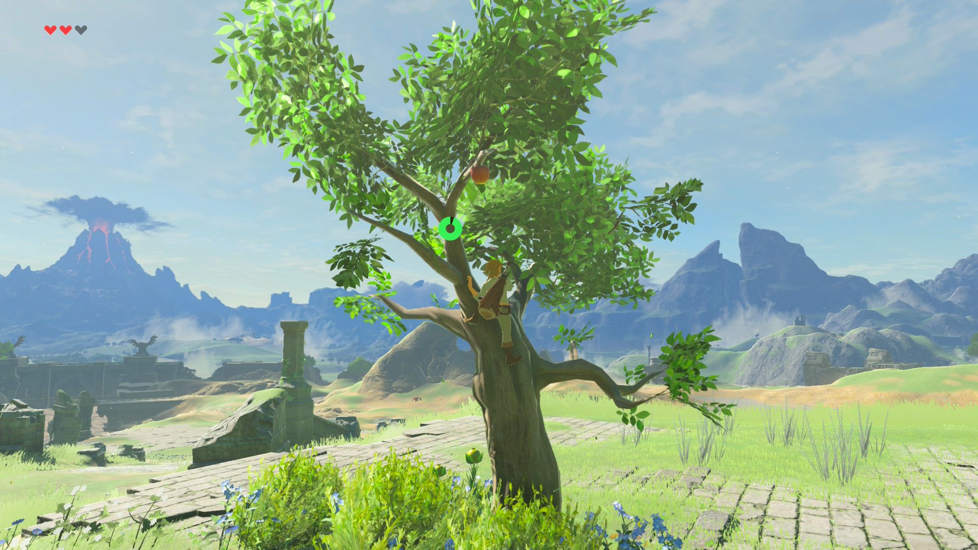 Climbing a tree in The Legend of Zelda Breath of the Wild (Switch 2)