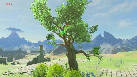 Climbing a tree in The Legend of Zelda Breath of the Wild (Switch 2)