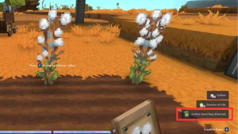 cotton eternal seed hytale