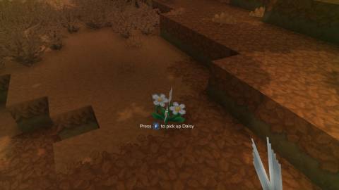 daisy white petal hytale