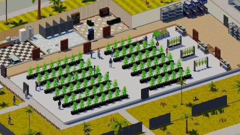 Definitely Not Fried Chicken plants