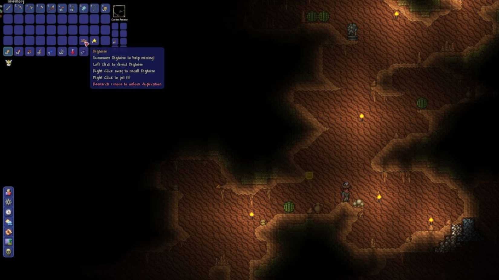 Digtoise in Terraria