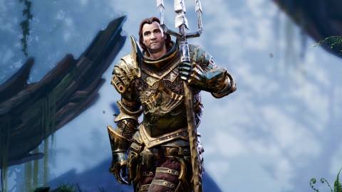 Divinity Original Sin 2 metamorph class (3)