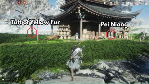 dreamscape blissful retreat tuft of yellow fur the stolen first jar wine where winds meet (2)-1