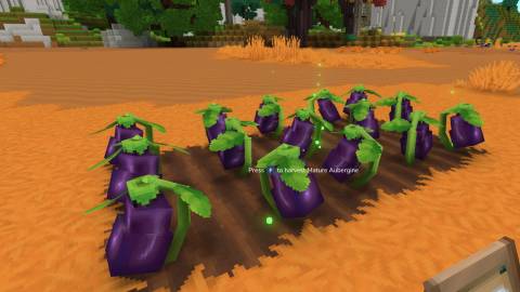 eternal seeds hytale (2)