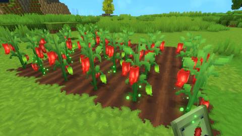 eternal seeds hytale (4)