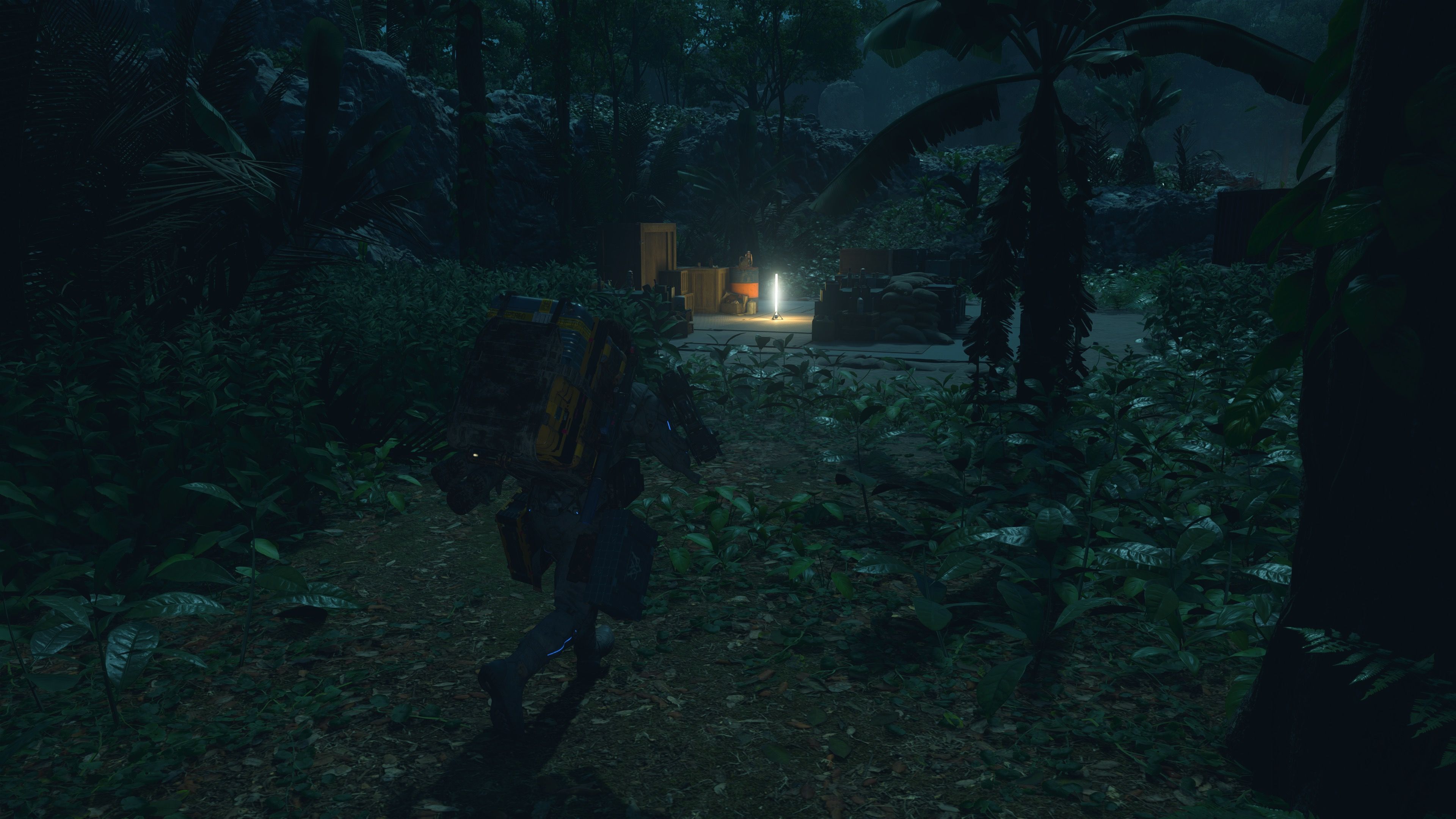 Exploring a forest in Death Stranding 2 On the Beach (2025)