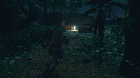 Exploring a forest in Death Stranding 2 On the Beach (2025)