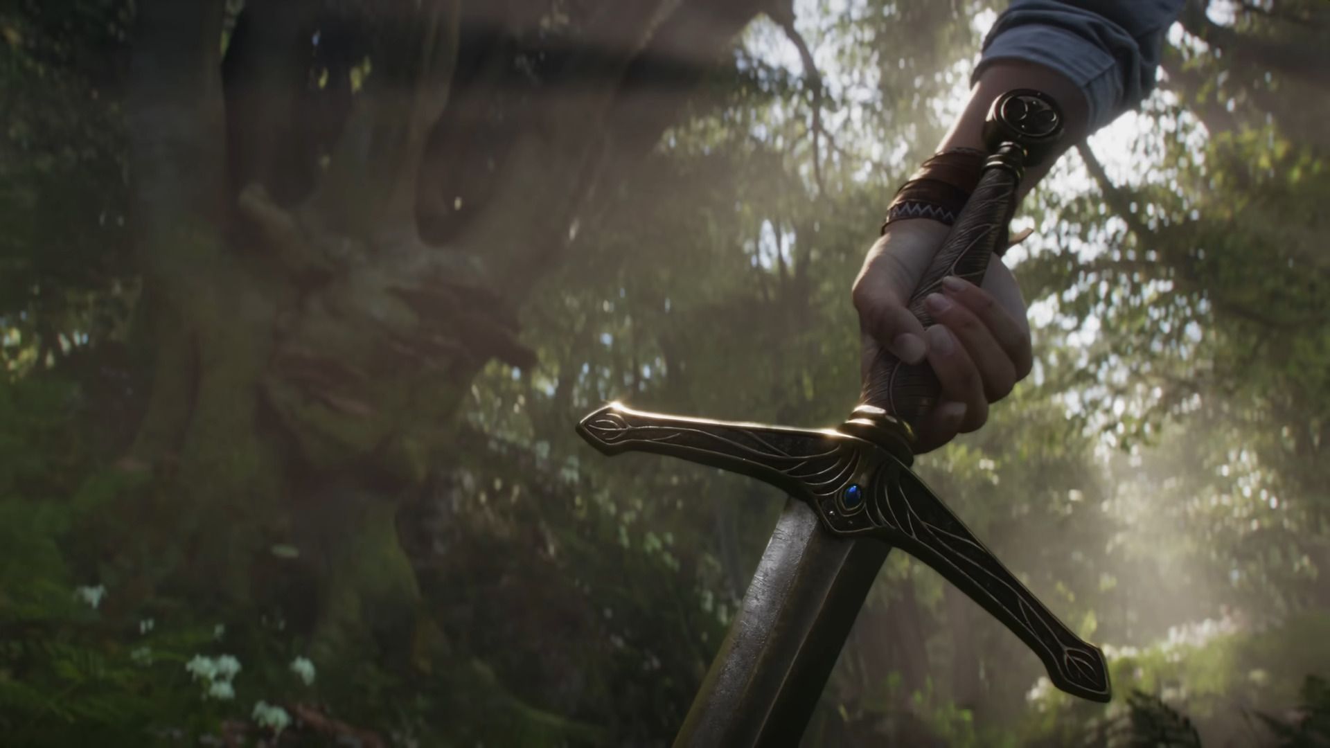 THe Protagonist Picking up a Sword in Fable