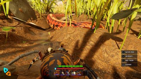 Garter Snake in Grounded 2