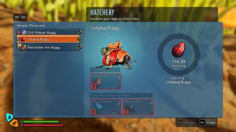 Grounded 2 Ladybug Buggie Hatchery