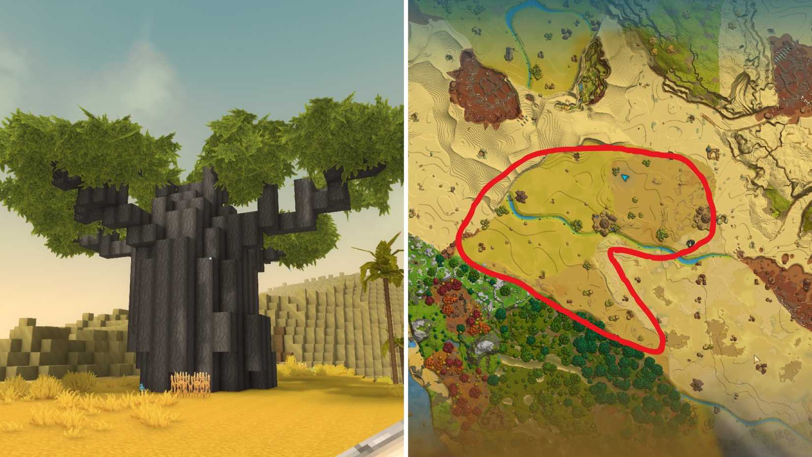 Бревно баобаба