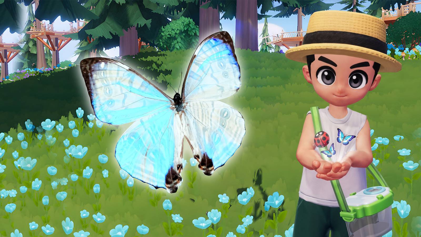 heartopia-how-to-catch-sulkowskys-morpho