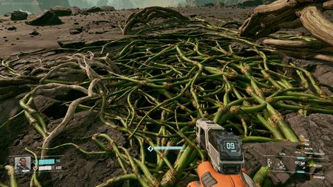 How To Break VInes in StarRupture