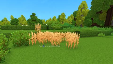 how to get essence of life in hytale (2)