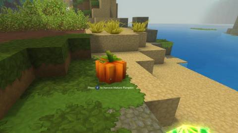 how to get essence of life in hytale (3)