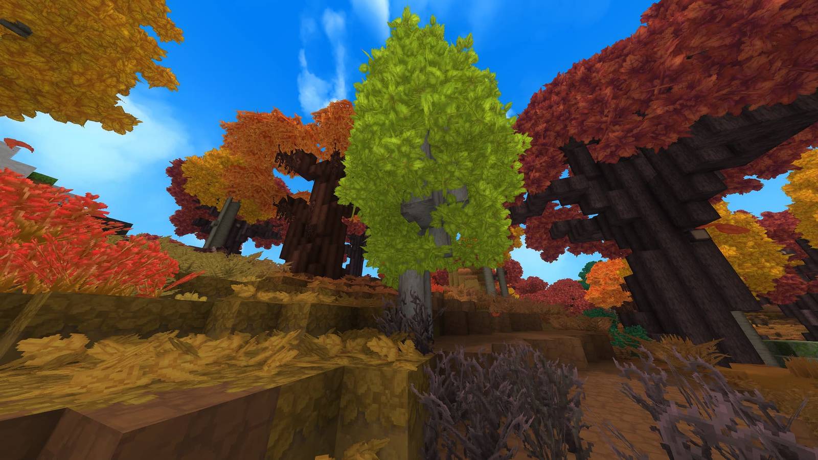 Hytale Birch tree