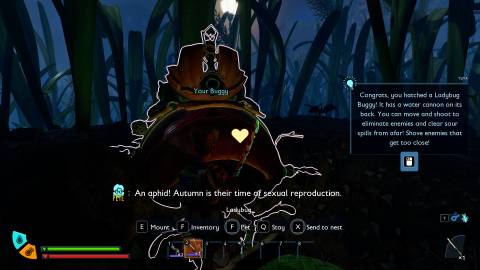 Ladybug Buggie Grounded 2