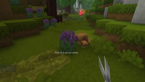 lavender purple petals hytale-1