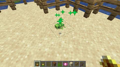 making a baby turtle stay as a baby