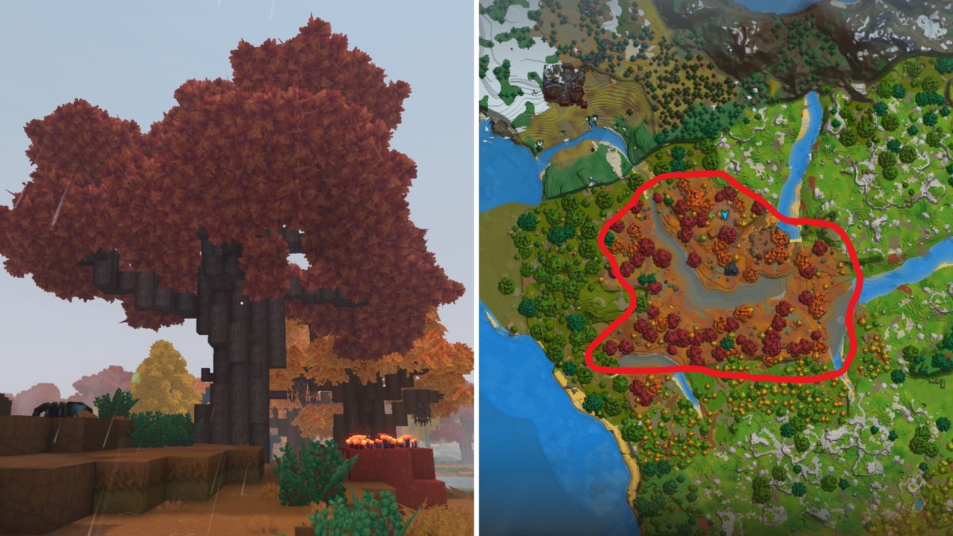 tronco de arce Hytale