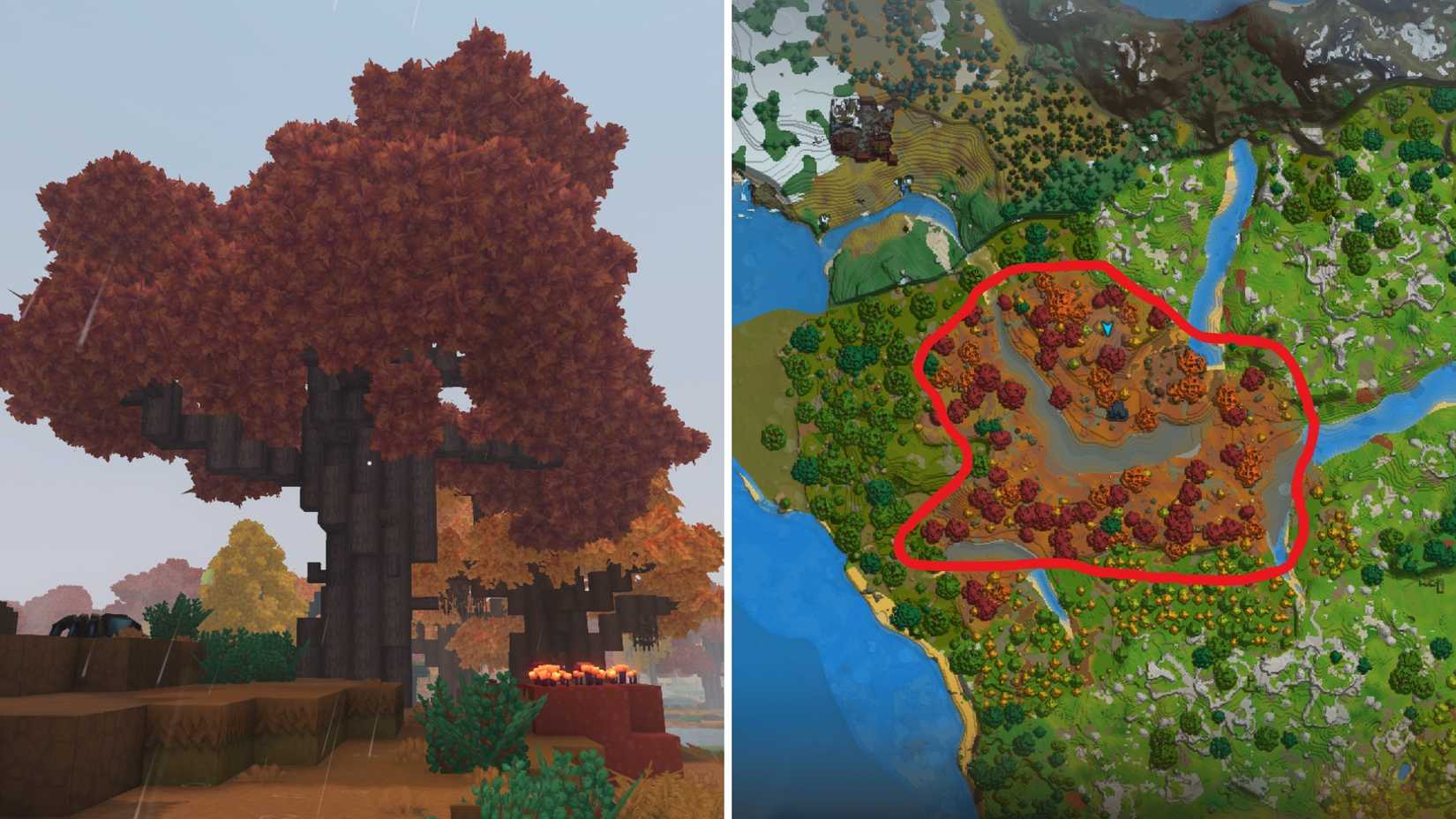 Бревно клёна