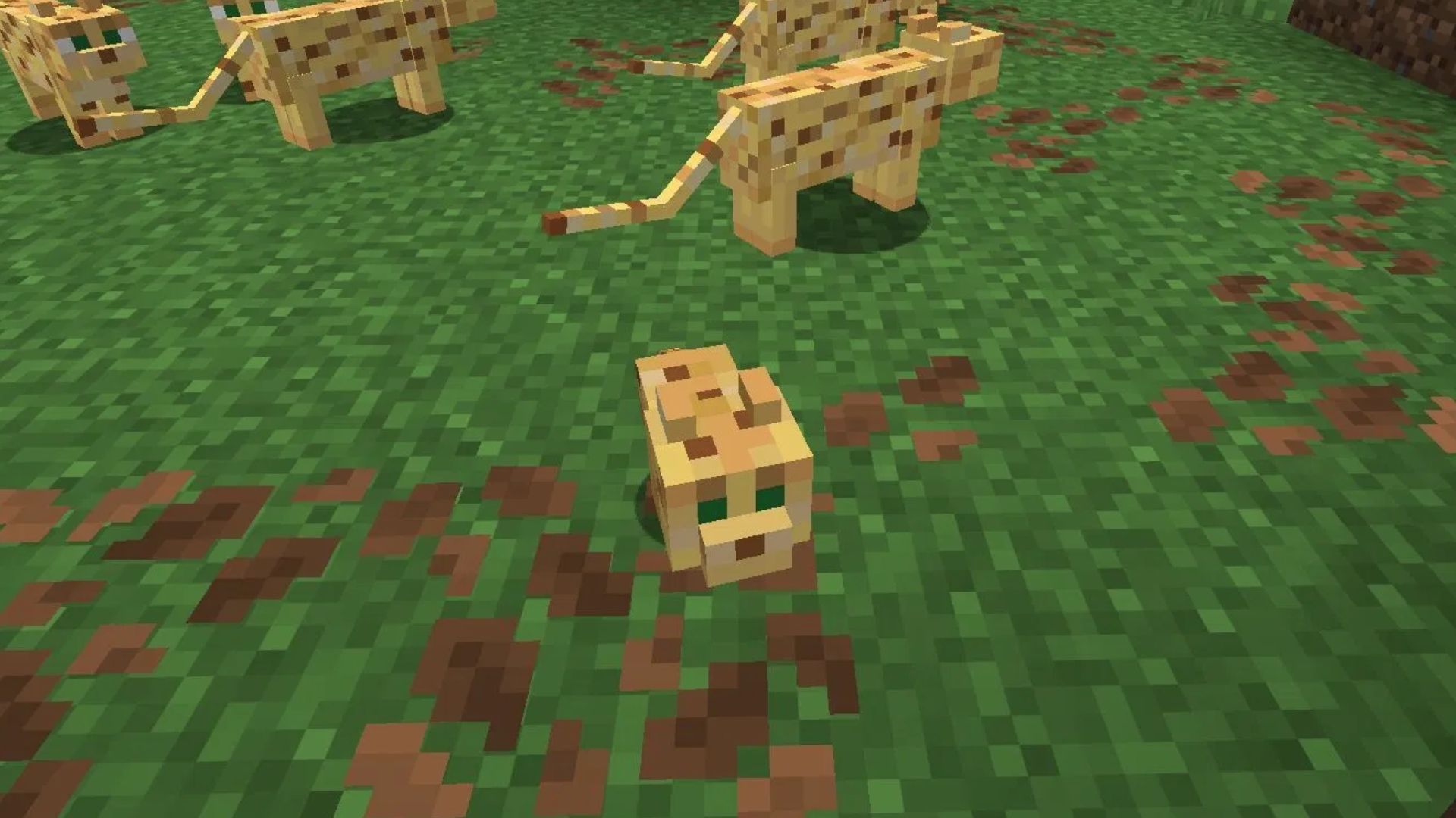 Minecraft Players Aren't Happy With The Game's Newest Update