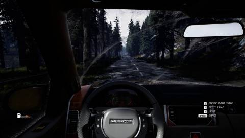 Mist Survival driving