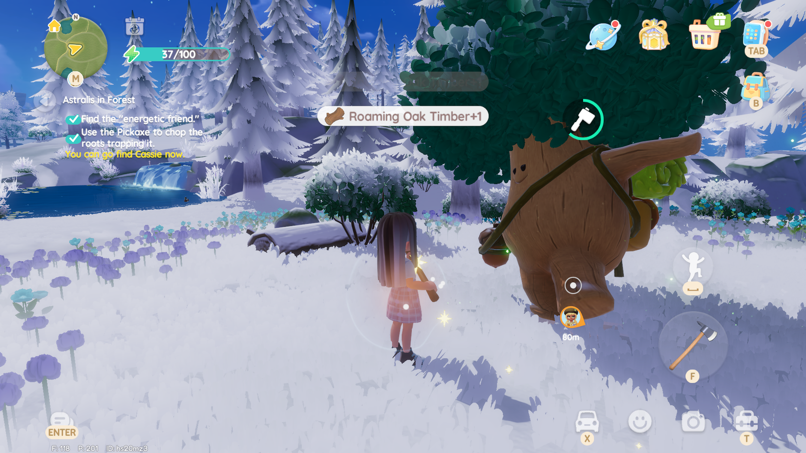 oak oak tree location