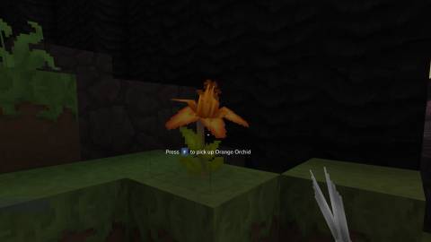 orange orchid orange petals hytale-1