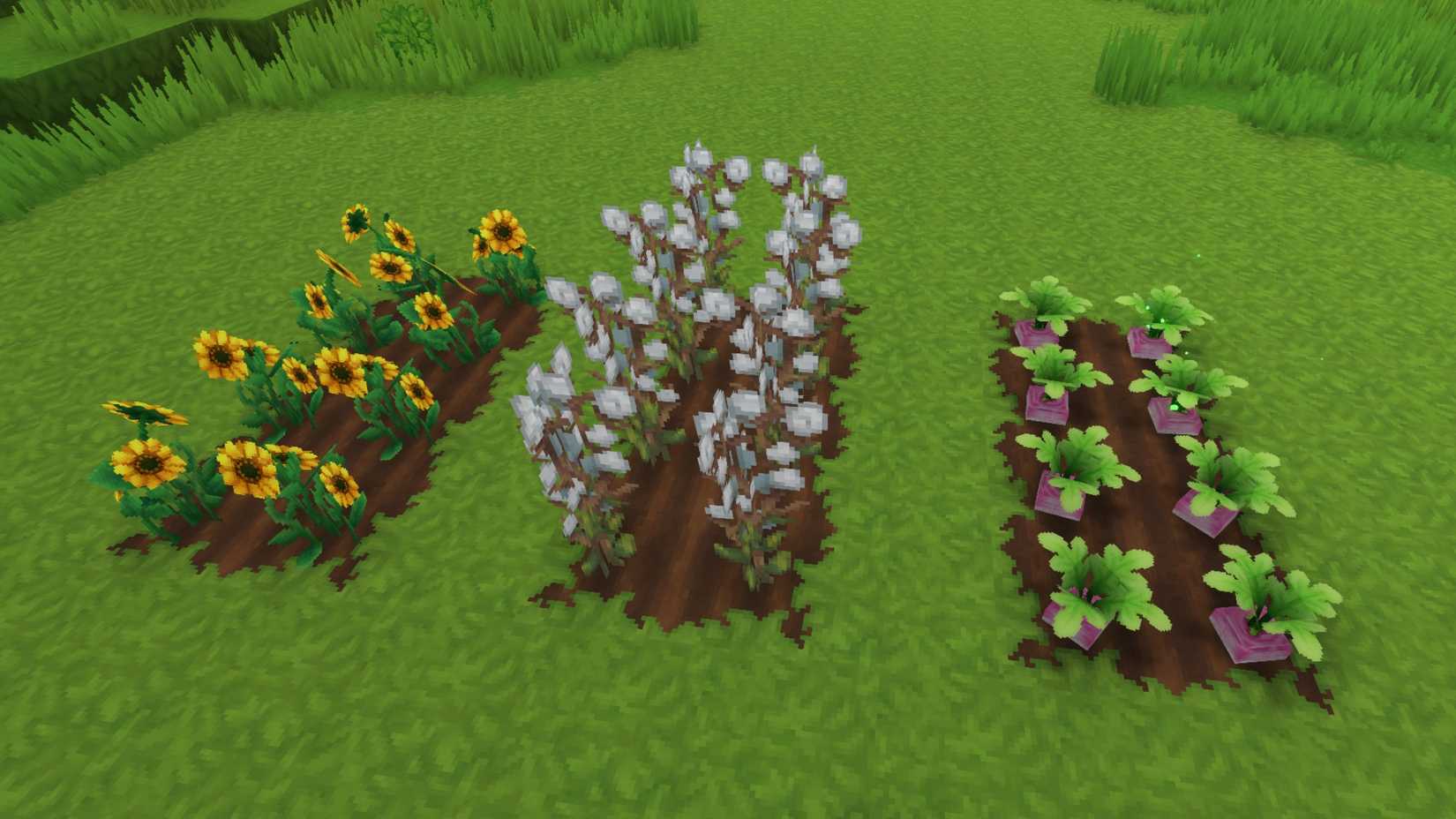 petal farm hytale