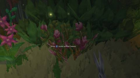 pink camelia flower pink petals hytale