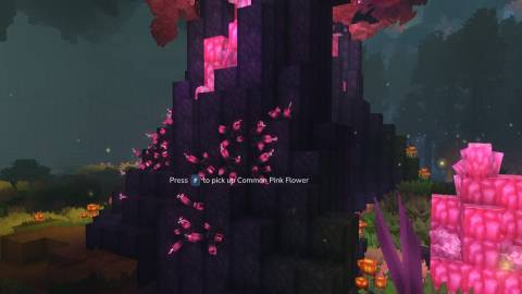 pink common flower pink petals hytale-1