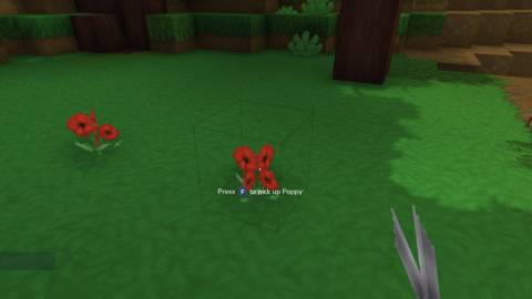 poppy red petals hytale-1