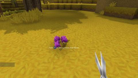 purple arid flower purple petla hytale