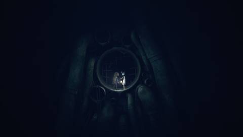 Reanimal Press Image 12