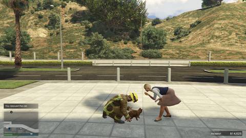 saving a cat in gta online