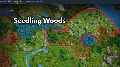 Seedling Woods emerald grove hytale