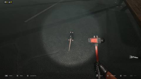 Smash Rats with hammer Gray Tide Quarantine Zone Last Check