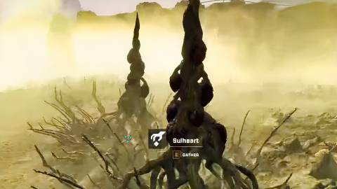 sulheart in starrupture