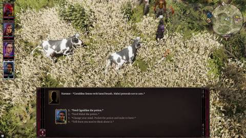 treated like cattle cure geraldine divinity original sin 2